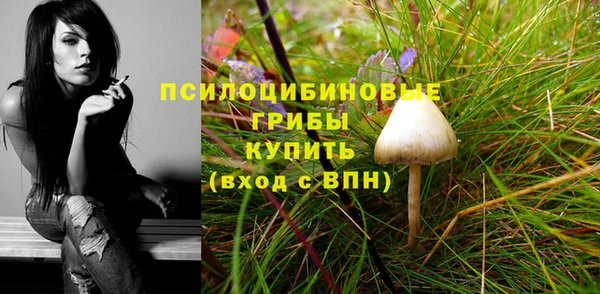 синтетический гашиш Вязьма