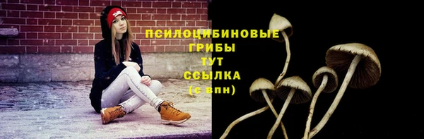 синтетический гашиш Вязьма