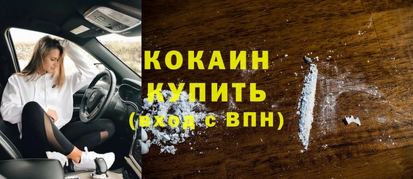 шишки Вяземский