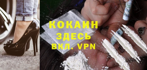 шишки Вяземский