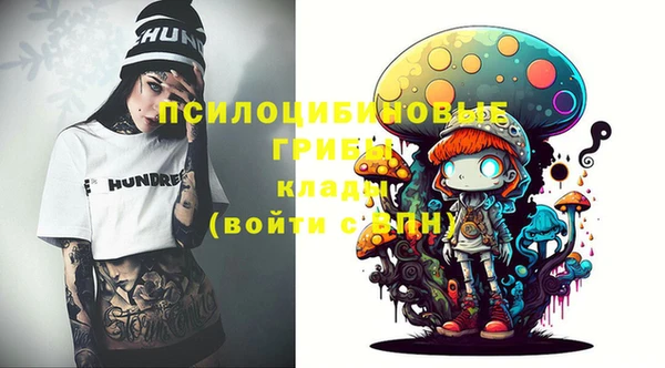 шишки Вяземский