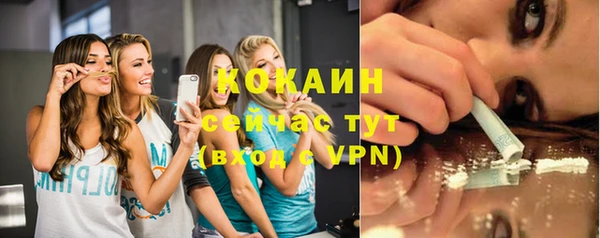 шишки Вяземский