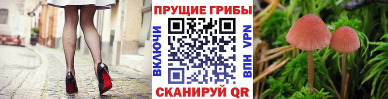 Галлюциногенные грибы MAGIC MUSHROOMS  Купить  Белый 